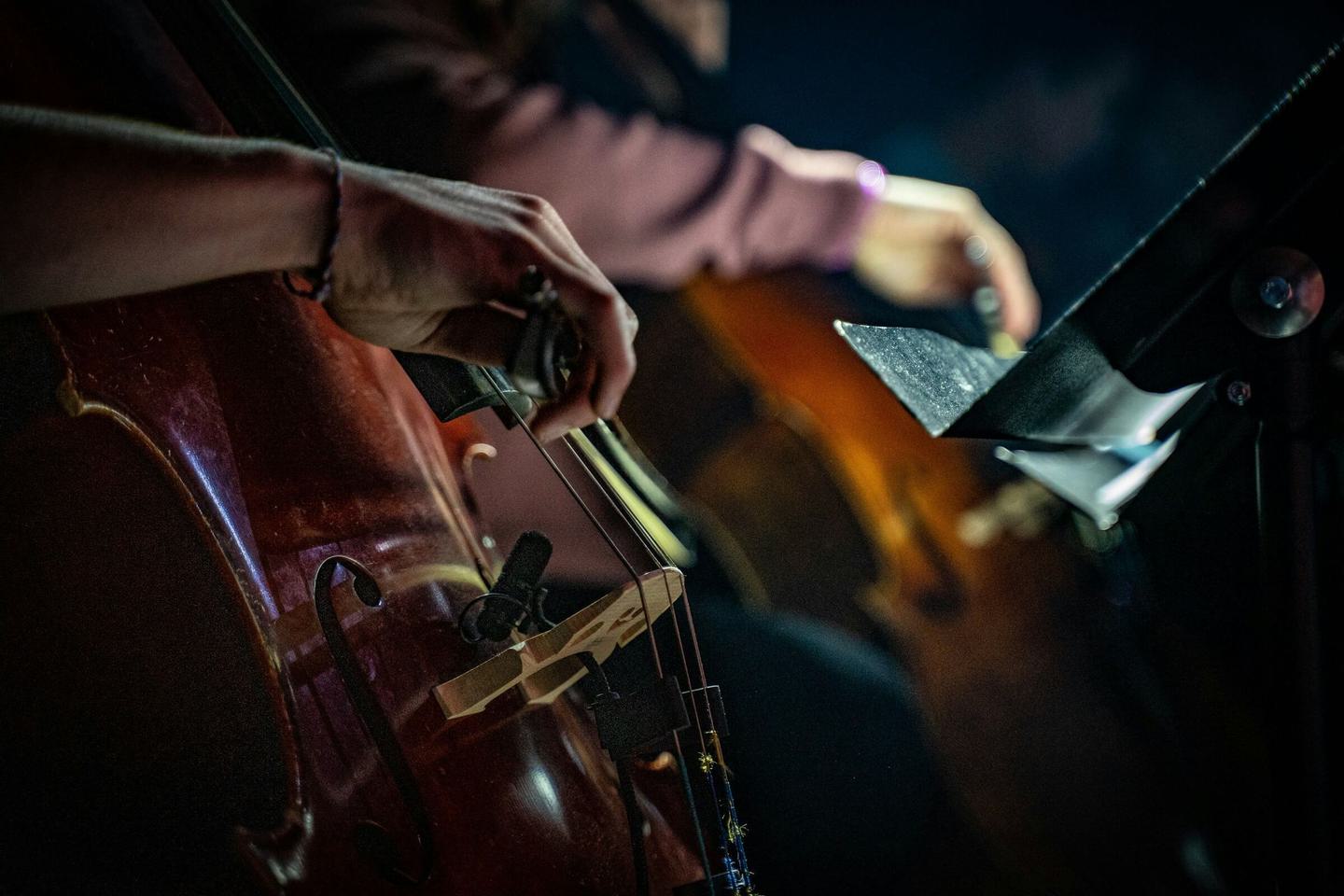 Orchestra closeup